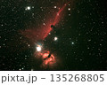 馬頭星雲 135268805