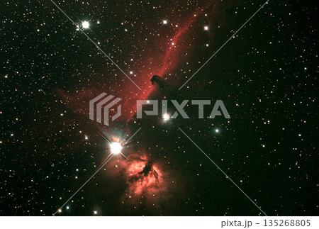 馬頭星雲 馬頭星雲 135268805