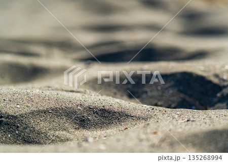 静岡県浜松市　冬の中田島砂丘　砂と足跡 135268994