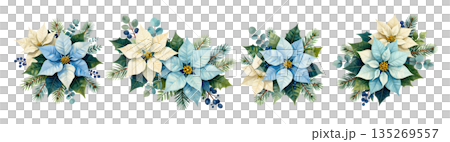 Christmas flower poinsettia with holly and pine tree branch 135269557