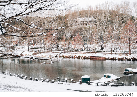 Winter Scenery of Gwanbangjerim Forest and River in Damyang, Korea Winter Scenery of Gwanbangjerim Forest and River in Damyang, Korea 135269744