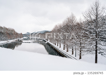 Winter Scenery of Gwanbangjerim Forest and River in Damyang, Korea Winter Scenery of Gwanbangjerim Forest and River in Damyang, Korea 135269745