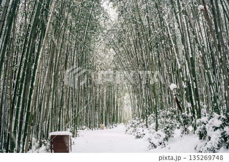 Winter Scenery of Juknokwon Bamboo Forest in Damyang, Korea Winter Scenery of Juknokwon Bamboo Forest in Damyang, Korea 135269748