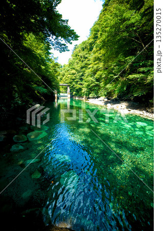 神奈川にある秘境ユーシン渓谷 神奈川にある秘境ユーシン渓谷 135270015