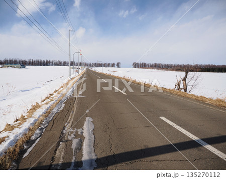 道路と雪原と防風林 道路と雪原と防風林 135270112