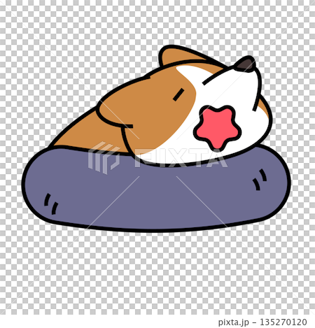 丸くなって眠るコーギーのシンプルでかわいいイラスト 135270120
