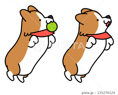 ジャンプしてボールをキャッチするコーギーのイラストセット ジャンプしてボールをキャッチするコーギーのイラストセット 135270124