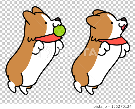 ジャンプしてボールをキャッチするコーギーのイラストセット ジャンプしてボールをキャッチするコーギーのイラストセット 135270124