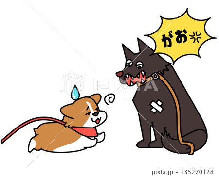 散歩中に大きな犬に吠えられて困るコーギーのイラスト 散歩中に大きな犬に吠えられて困るコーギーのイラスト 135270128