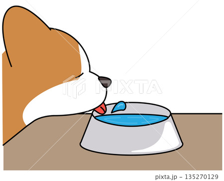 容器からお水を飲むコーギーのイラスト（水分補給） 135270129