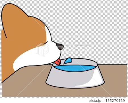 容器からお水を飲むコーギーのイラスト（水分補給） 135270129