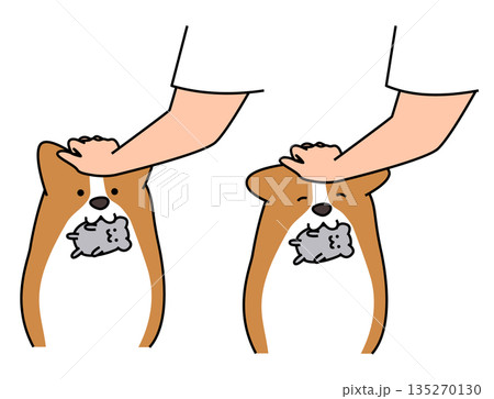 おもちゃをくわえて飼い主に頭を撫でられ喜ぶコーギーのイラスト おもちゃをくわえて飼い主に頭を撫でられ喜ぶコーギーのイラスト 135270130