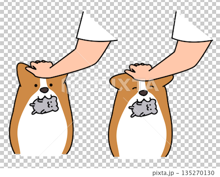 おもちゃをくわえて飼い主に頭を撫でられ喜ぶコーギーのイラスト おもちゃをくわえて飼い主に頭を撫でられ喜ぶコーギーのイラスト 135270130