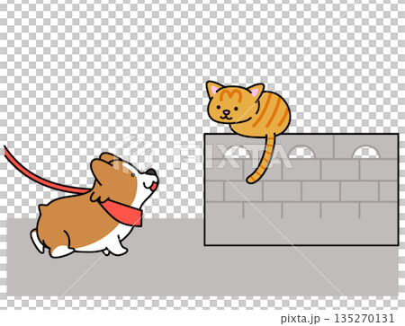 散歩中に塀の上の猫を見つけて興味津々なコーギーのイラスト 135270131