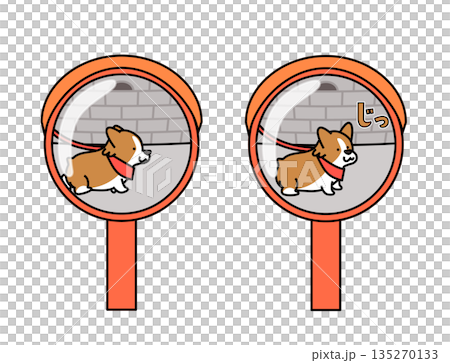 圖:一隻柯基犬在散步時好奇地看著凸面鏡裡的自己 圖:一隻柯基犬在散步時好奇地看著凸面鏡裡的自己 135270133