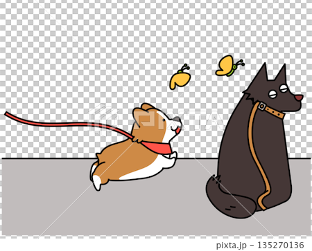 散歩中に元気に引っ張るコーギーと落ち着いた犬の対比イラスト 135270136