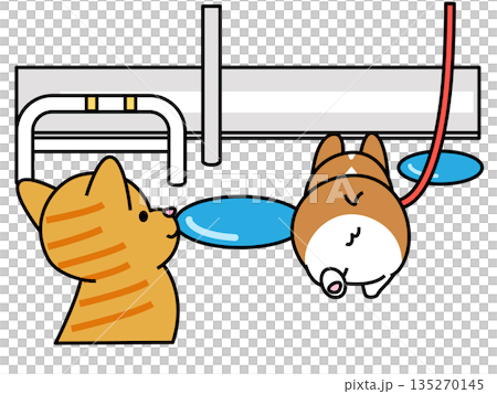 Illustration of a Corgi and a cat looking into a puddle while walking after the rain 135270145