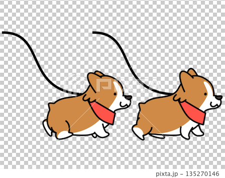 赤いバンダナを巻いて並んで散歩する2匹のコーギーのイラスト 135270146