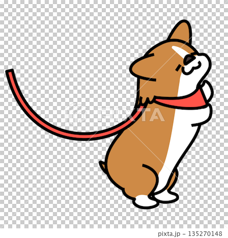 嬉しくて跳ねるコーギーのイラスト 135270148