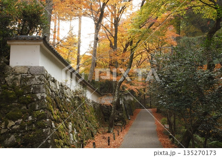 来迎院参道の三千院前の紅葉 135270173