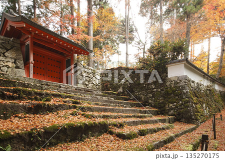 秋の三千院の朱雀門と紅葉 135270175