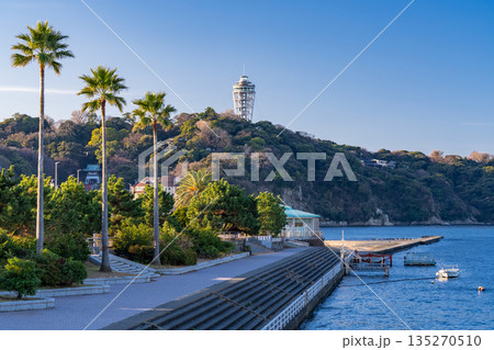 《神奈川県》早朝の江ノ島の風景 135270510