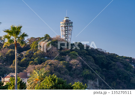 《神奈川県》早朝の江ノ島の風景 135270511