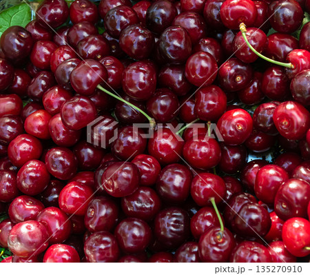 Cherries gathered in a basket ready for sale at a summer farmers market in a sunny outdoor setting with rich colors and textures Cherries gathered in a basket ready for sale at a summer farmers market in a sunny outdoor setting with rich colors and textures 135270910