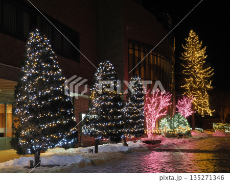 帯広駅前のイルミネーション 135271346