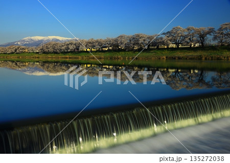 青空と満開の桜 135272038