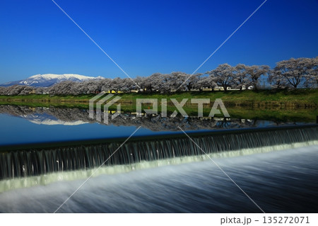 青空と満開の桜 135272071