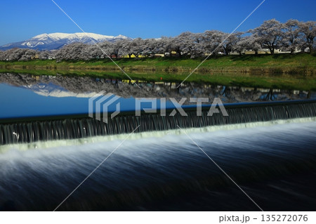 青空と満開の桜 135272076