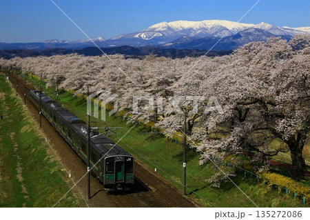 青空と満開の桜 135272086