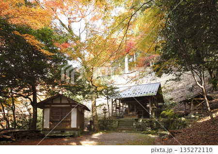 勝手神社の紅葉 勝手神社の紅葉 135272110