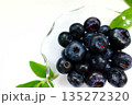 ブルーベリー  フルーツ　果実 135272320