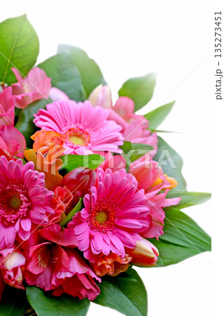 春の花を使ったピンクのかわいいフラワーアレンジメント 春の花を使ったピンクのかわいいフラワーアレンジメント 135273451