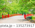 新緑に映える赤い橋 135273917