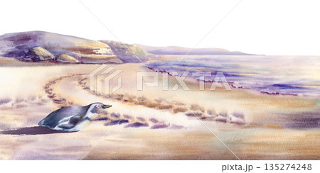 African penguin rests on coastal sand at sunset,tracks scar the sand,as a reminder of anthropogenic cause of penguin species extinction.Watercolor in soft washes for awareness campaigns 135274248