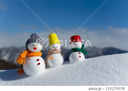 雪原と雪だるまたち 雪原と雪だるまたち 135274376