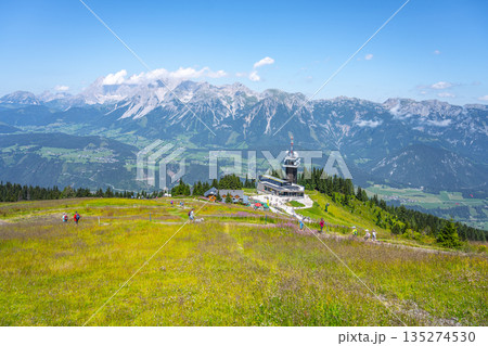 Breathtaking landscape showcases the Dachstein mountain range from Planai. Visitors explore lush green meadows with the summit station in the foreground, under a clear blue sky. 135274530