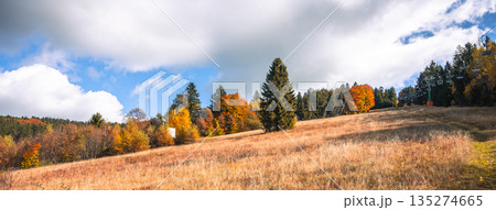 Bukova Hora in Cenkovice showcases beautiful autumn colors. The landscape features vibrant trees and a clear sky, perfect for outdoor activities and enjoying nature in fall. Bukova Hora in Cenkovice showcases beautiful autumn colors. The landscape features vibrant trees and a clear sky, perfect for outdoor activities and enjoying nature in fall. 135274665