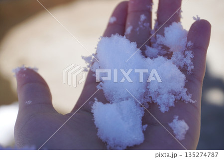 子供の手のひらの上の雪01 135274787