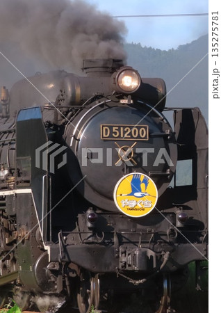 SLやまぐち号 D51 135275781