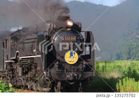 SLやまぐち号 D51 135275782