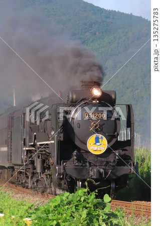 SLやまぐち号 D51 SLやまぐち号 D51 135275783