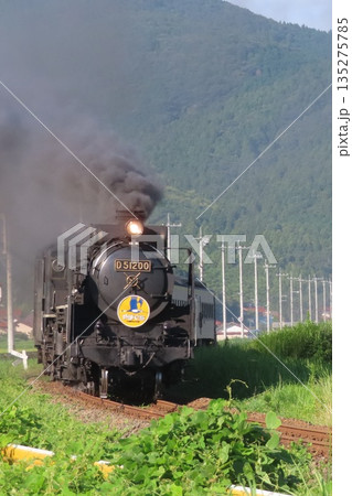 SLやまぐち号 D51 135275785