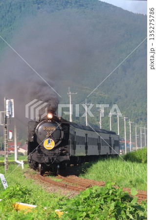 SLやまぐち号 D51 135275786