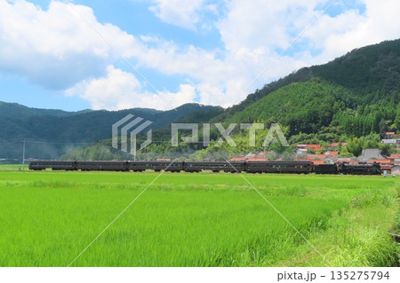 SLやまぐち号 D51 135275794