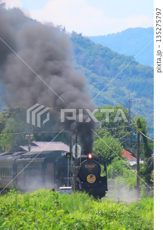 SLやまぐち号 D51 135275797
