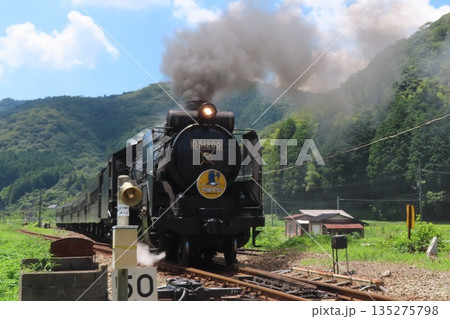 SLやまぐち号 D51 135275798